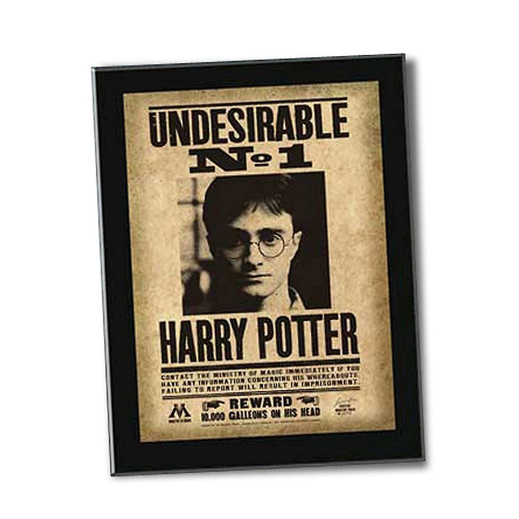 Harry Potter "Undesirable" Plaque