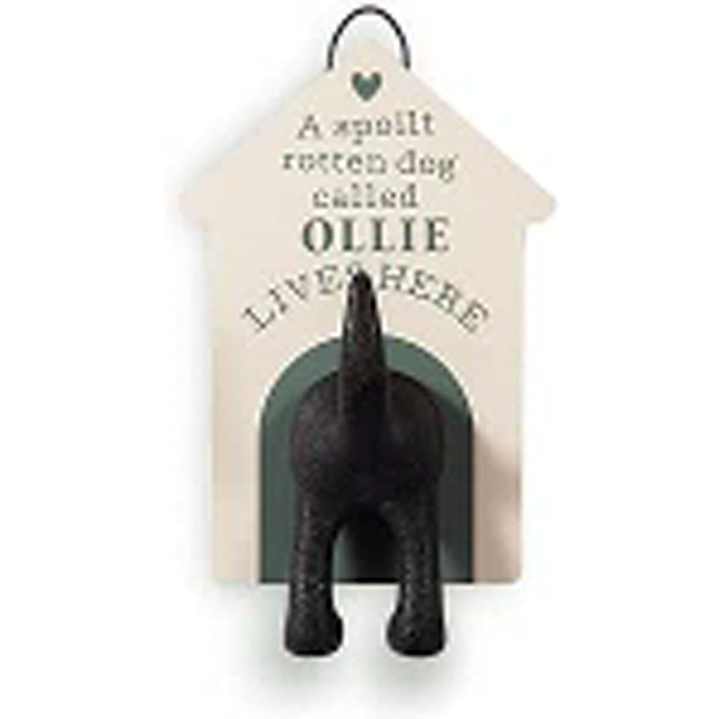 Dog Lead Hooks Ollie