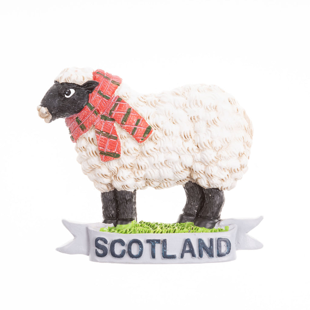 Resin Magnet - Scotland Sheep