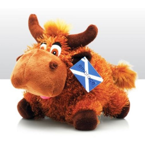 Highland Coo