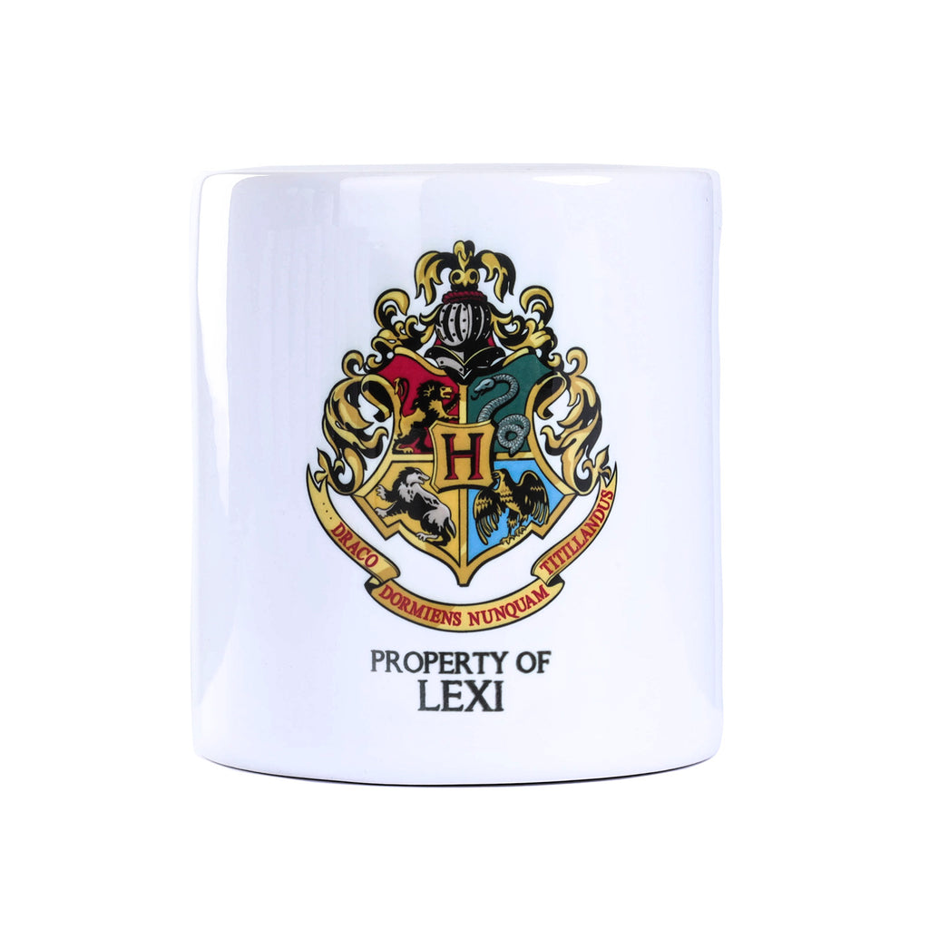 Harry Potter Money Box Lexi