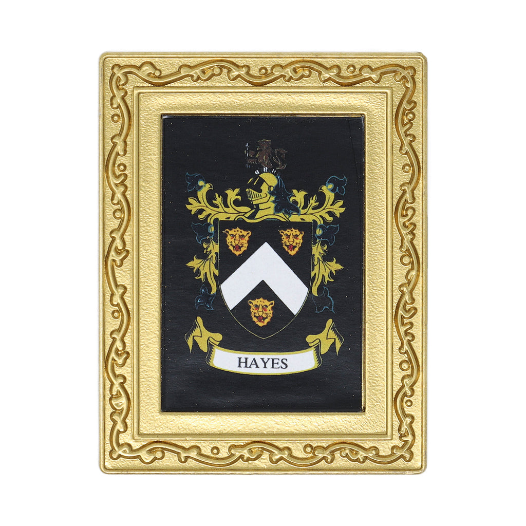 Coat Of Arms Fridge Magnet Hayes