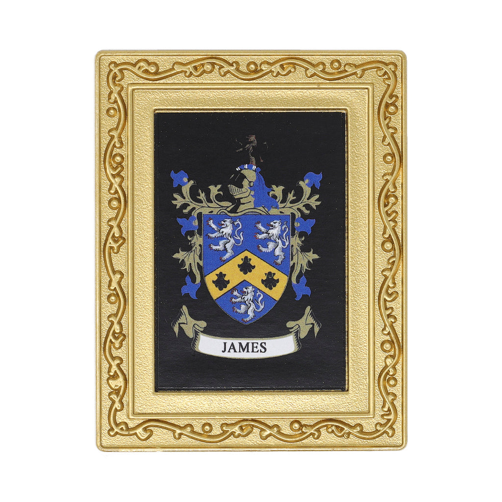 Coat Of Arms Fridge Magnet James