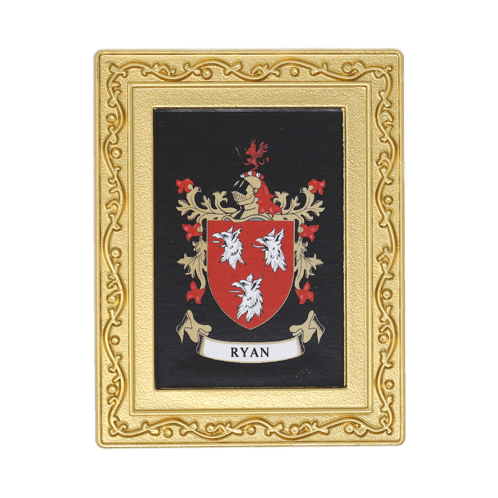 Coat Of Arms Fridge Magnet Ryan