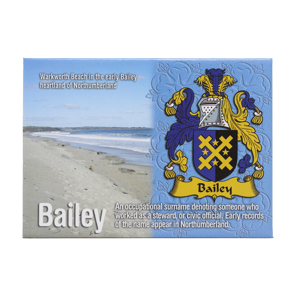 Scenic Metallic Magnet Wales Ni Eng Bailey
