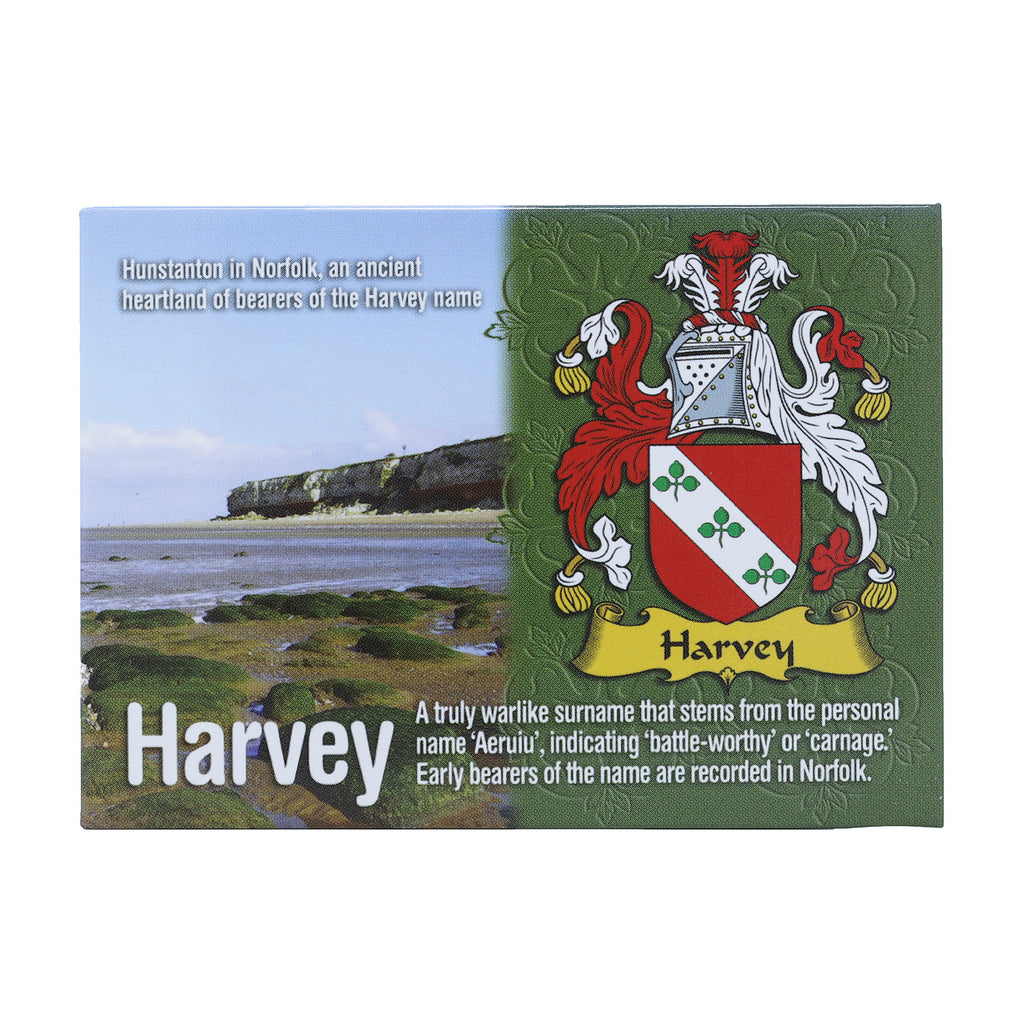 Scenic Metallic Magnet Wales Ni Eng Harvey
