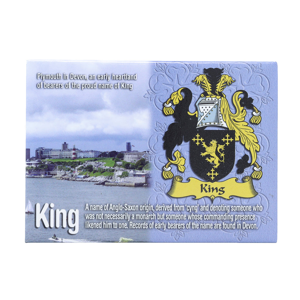 Scenic Metallic Magnet Wales Ni Eng King