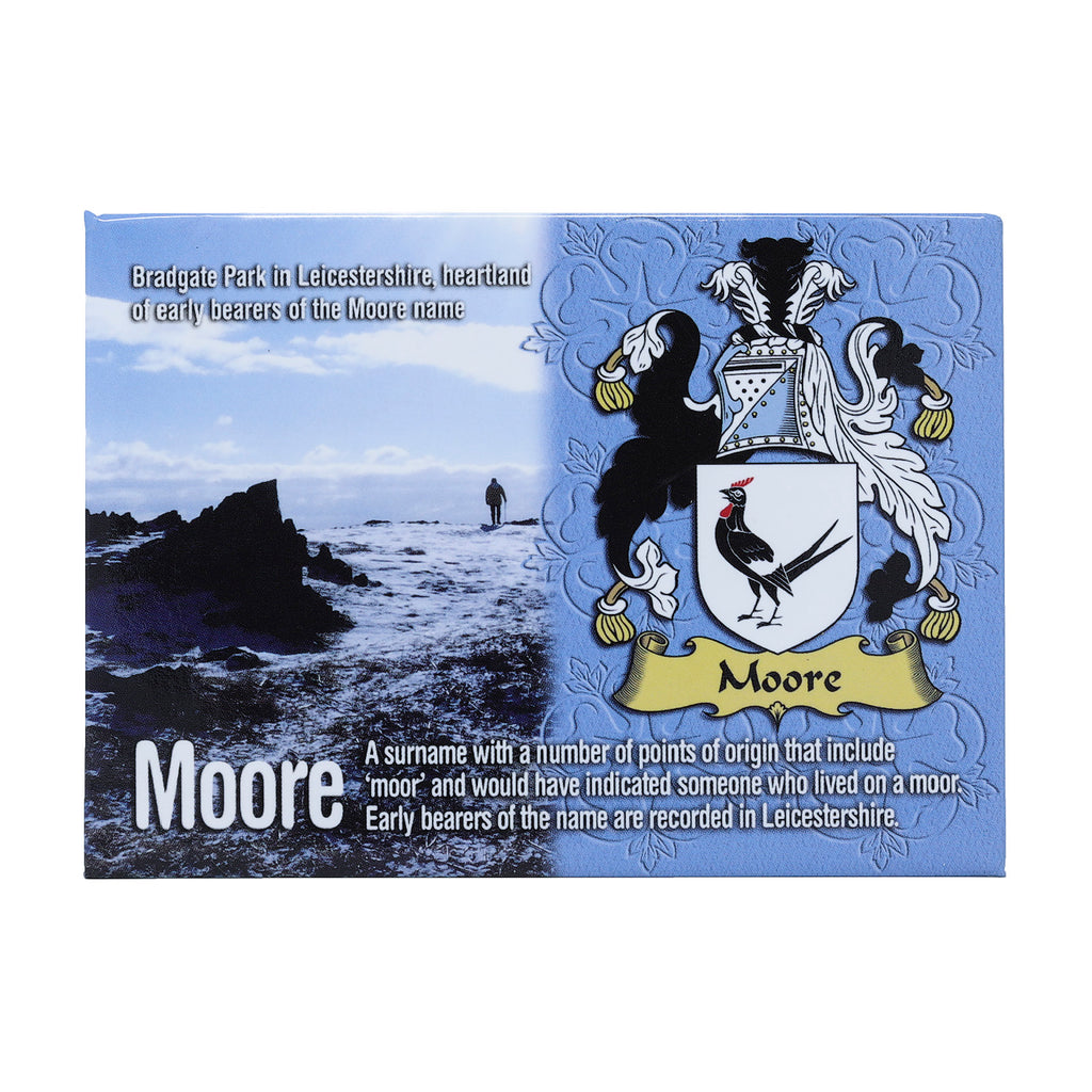 Scenic Metallic Magnet Wales Ni Eng Moore