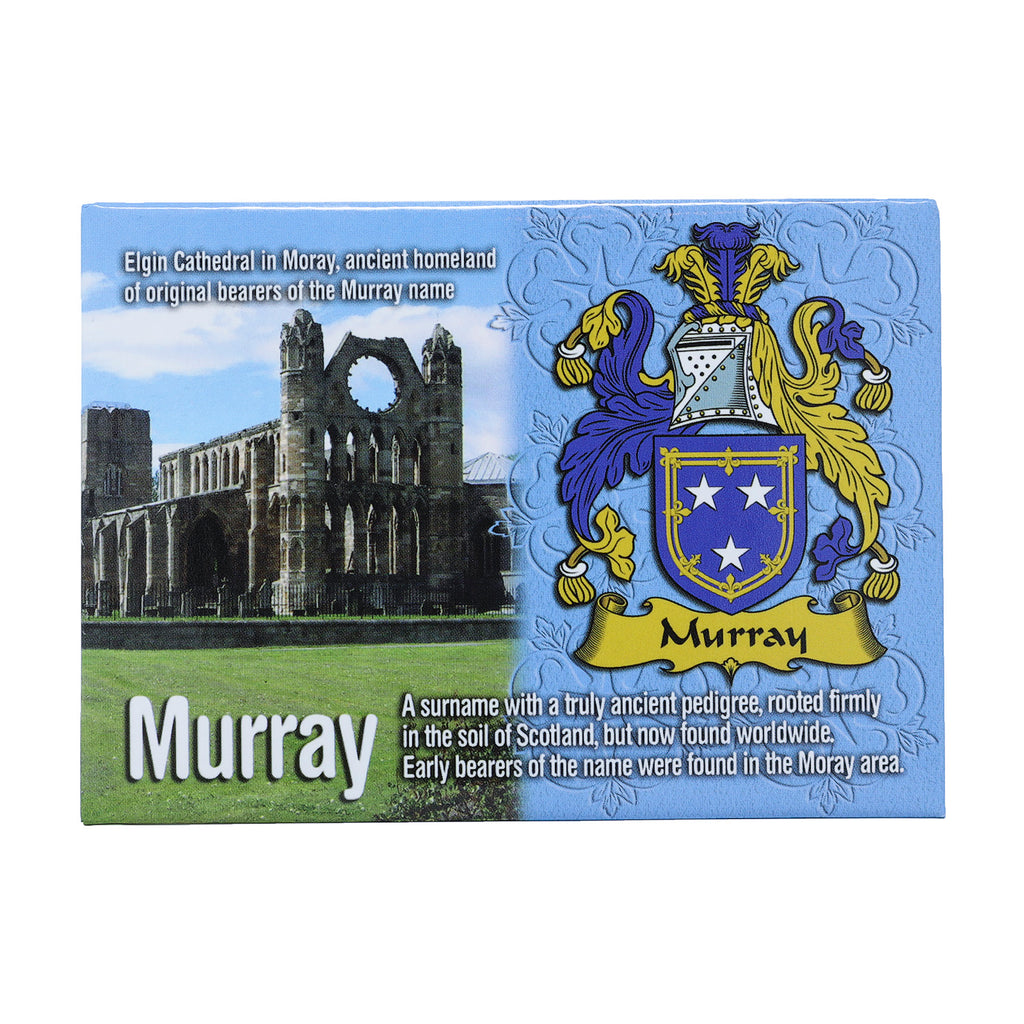 Scenic Metallic Magnet Wales Ni Eng Murray