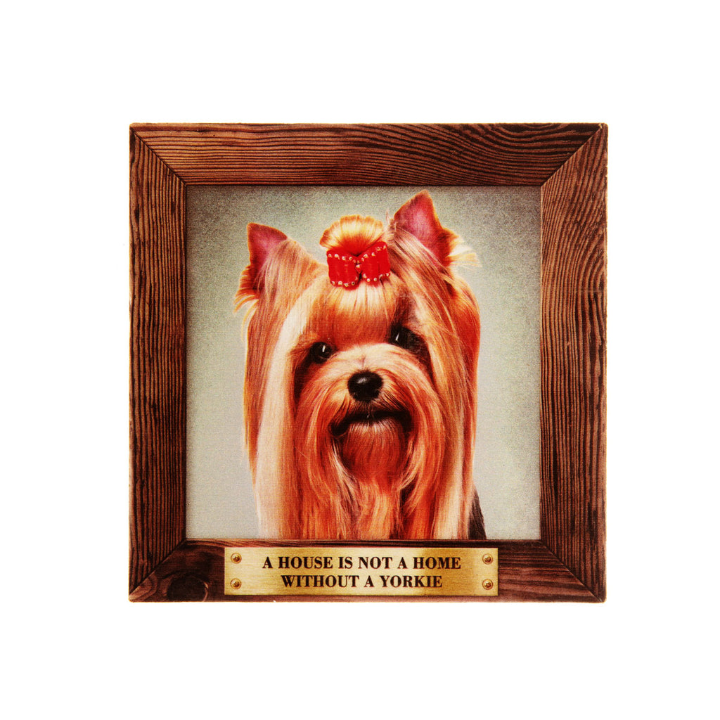 Pet Fridge Magnet Big York With Bow