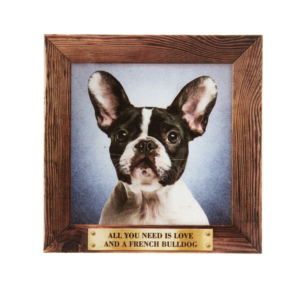 Pet Fridge Magnet Big French Bulldog White And Black