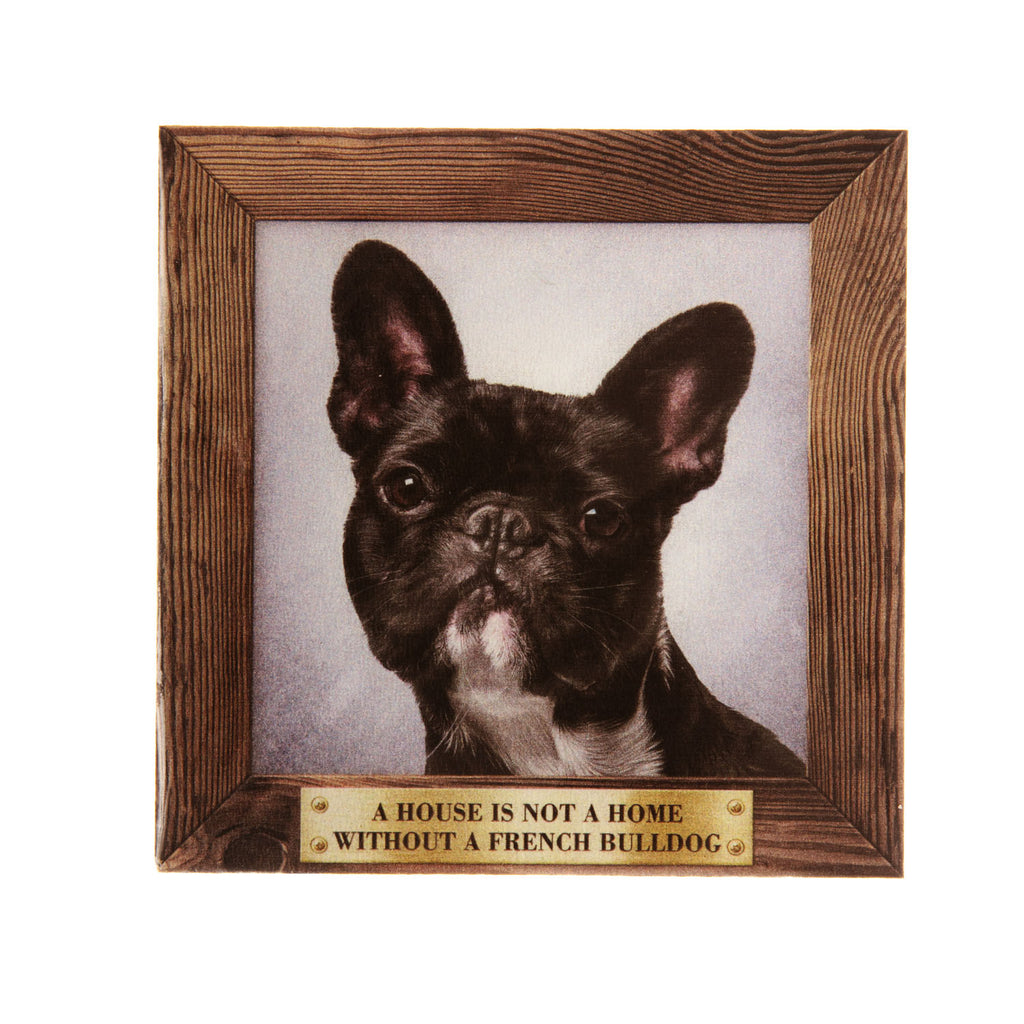 Pet Fridge Magnet Big French Bulldog Black And White