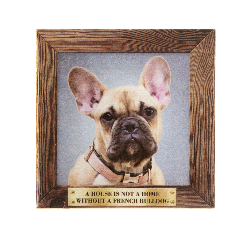 Pet Fridge Magnet Big French Bulldog Fawn