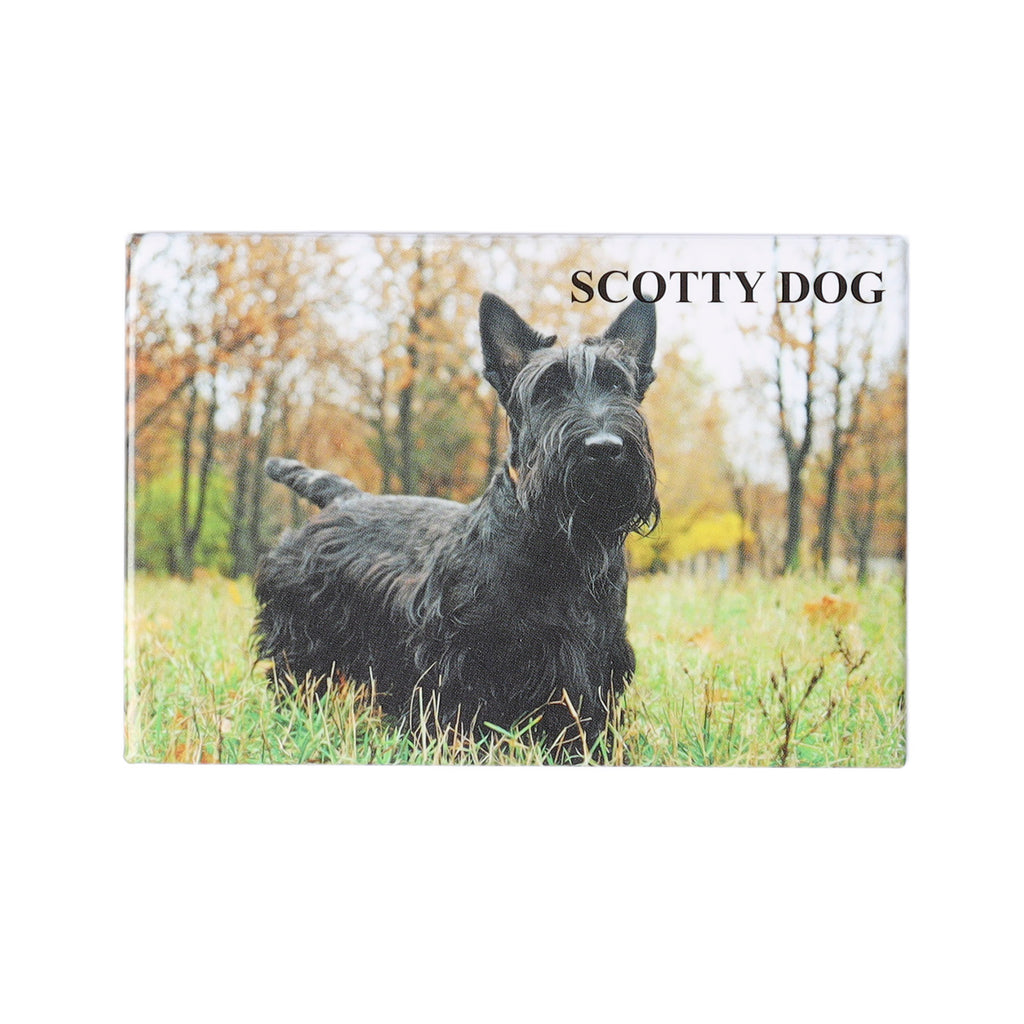 Photo Magnet-Scotty Dog